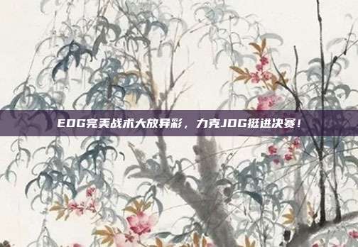 EDG完美战术大放异彩，力克JDG挺进决赛！