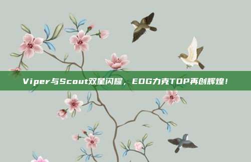 Viper与Scout双星闪耀，EDG力克TOP再创辉煌！