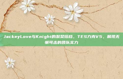 JackeyLove与Knight的默契搭档，TES力克V5，展现无懈可击的团队实力