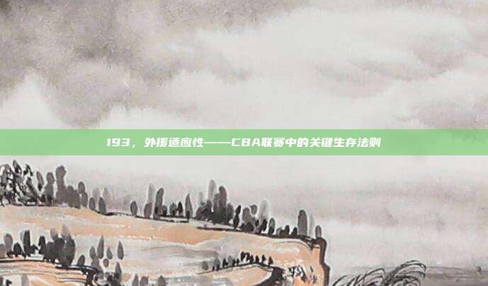 193，外援适应性——CBA联赛中的关键生存法则