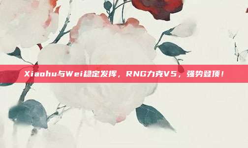 Xiaohu与Wei稳定发挥，RNG力克V5，强势登顶！