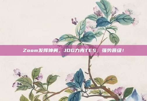 Zoom发挥神勇，JDG力克TES，强势晋级！