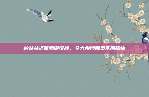 柏林赫塔誓师保级战，全力拼搏展现不屈精神