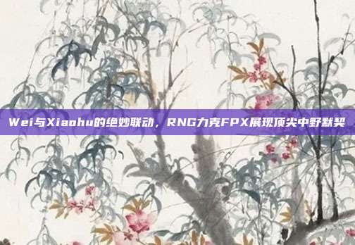 Wei与Xiaohu的绝妙联动，RNG力克FPX展现顶尖中野默契