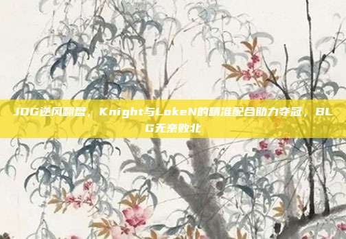 JDG逆风翻盘，Knight与LokeN的精准配合助力夺冠，BLG无奈败北